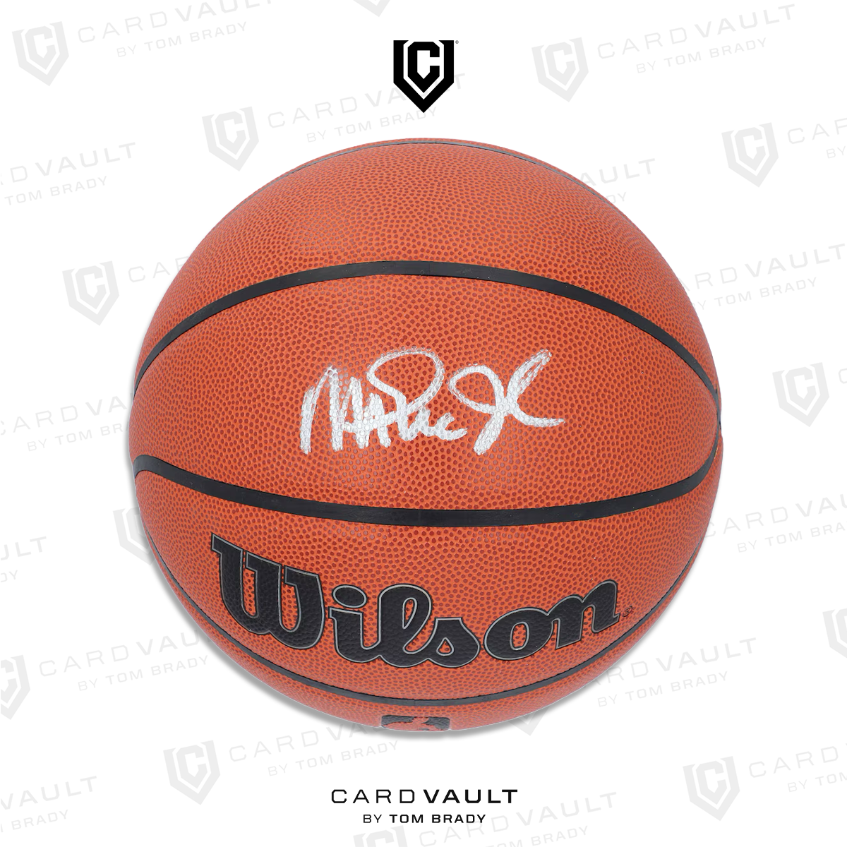 Magic Johnson Fanatics Authentic Autographed Wilson Basketball