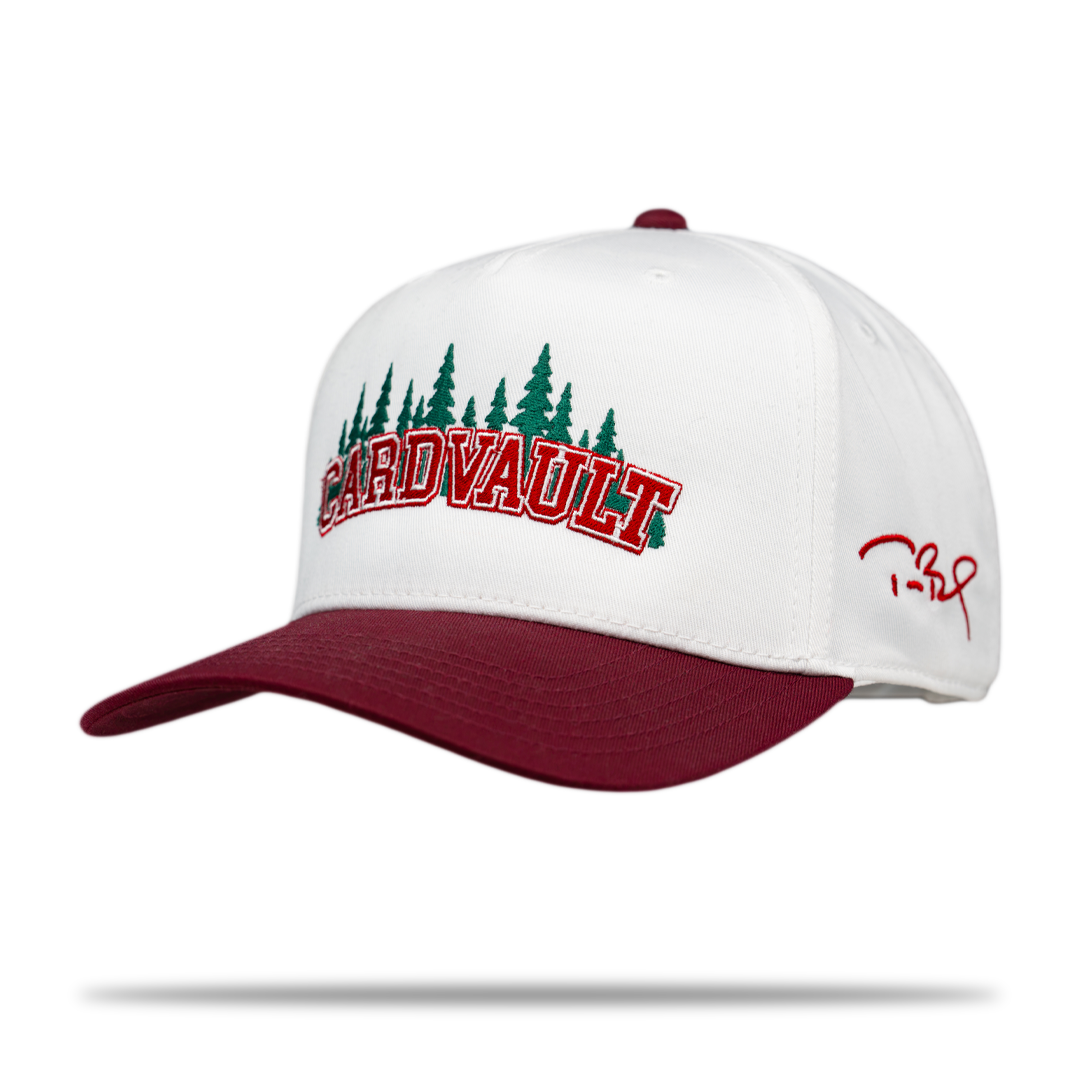 City Edition Otto 5-Panel Hat: Palo Alto