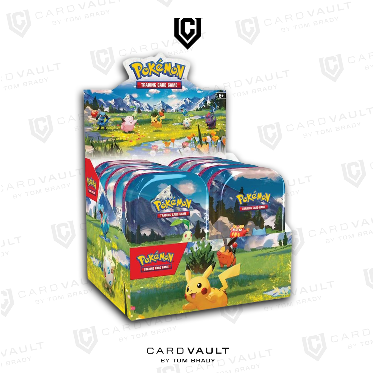 Miniscatola da collezione Megaeroi del GCC Pokémon Miniscatola da collezione Megaeroi del GCC Pokémon